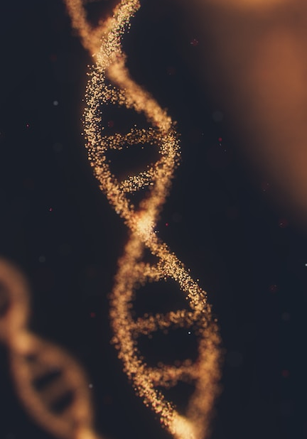 Imagen del taller - Taller de ADN