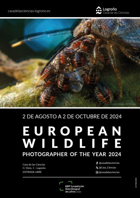 Wildlife24