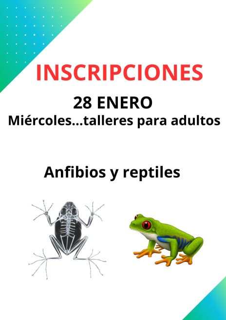 inscripciones